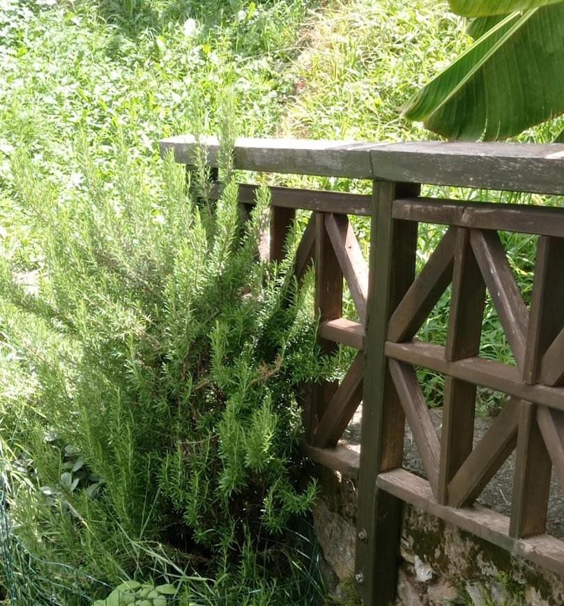 Odecla Chalet Du Soleil מראה חיצוני תמונה
